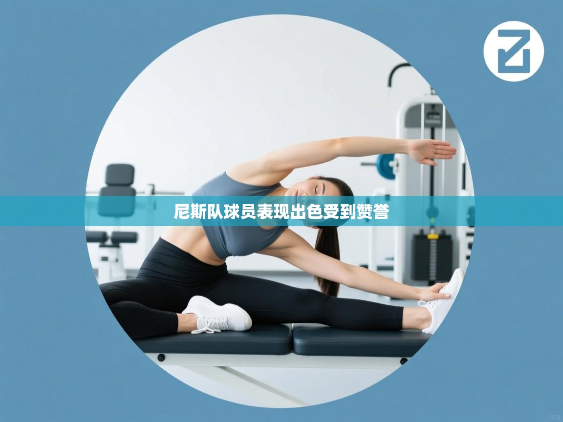 尼斯队球员表现出色受到赞誉  第2张